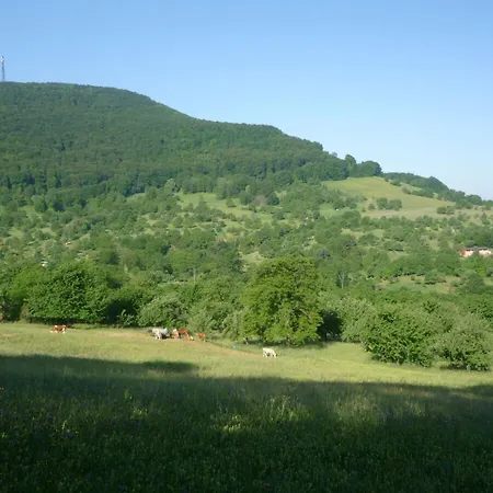 Hubertus Appartamento Metzingen (Tubingen)