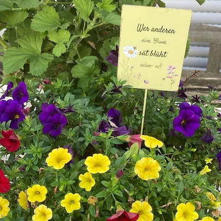 Appartamento Hubertus *