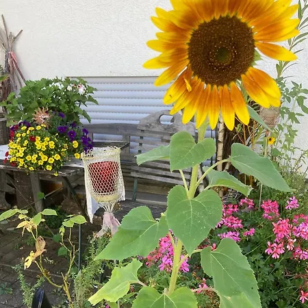 Appartamento Hubertus Metzingen (Tubingen)