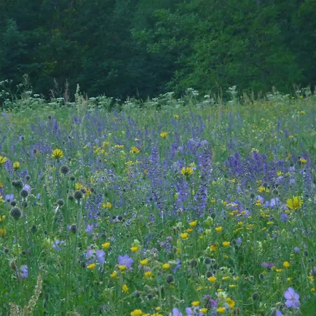 Hubertus Metzingen (Tubingen)