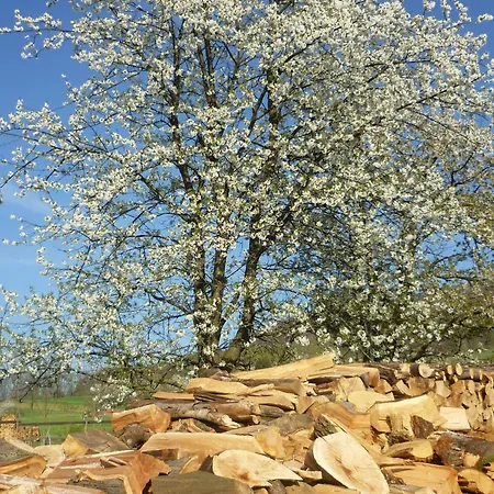 Hubertus Appartamento