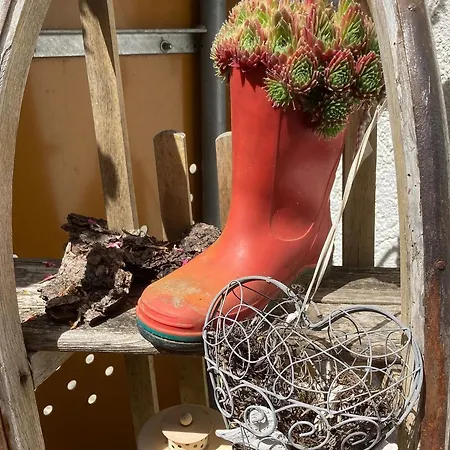 Hubertus Appartamento *