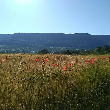 Hubertus Διαμέρισμα Μέτσινγκεν