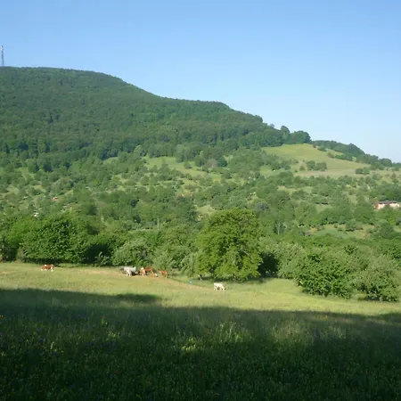 Hubertus *